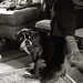 Max Sutton Photo 18