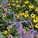 Susan Sager Photo 23