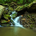 Curtis Rhodes Photo 8
