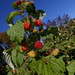 Sharon Ellsworth Photo 23