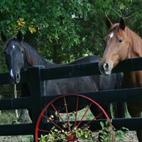 Anthony Childers Photo 15
