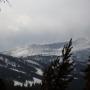 Raymond Macdonald Photo 27