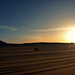 Linda Weis Photo 15