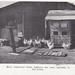 Vernon Parish Photo 8