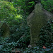 Samuel Joseph Photo 34
