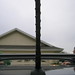 Rhonda Peters Photo 28