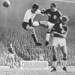 Roger Stokes Photo 26