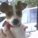 Tracy Martindale Photo 7