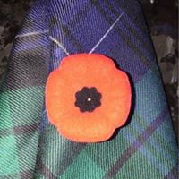 Janice Stephenson Photo 43