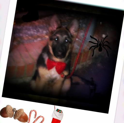 Enzo Rossetti Photo 3