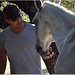Mark Cassell Photo 35
