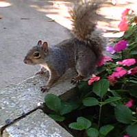 Doris Farris Photo 12
