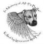Michael Lowry Photo 9