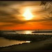 Donna Cannon Photo 13
