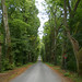 Earl Otto Photo 6