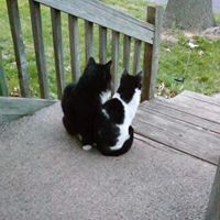 Linda Allred Photo 26