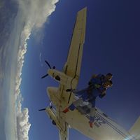 Matthew Allen Photo 41