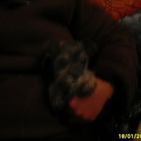 Jacqueline Culp Photo 4