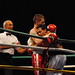 Michael Boxer Photo 22
