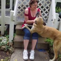 Amy Farris Photo 45