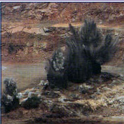 Jeff Black Photo 25