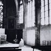 Anne Mitchell Photo 45