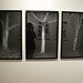 Russell Howe Photo 35