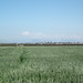 Jesse Hawk Photo 7