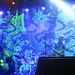Jay Weir Photo 15