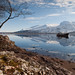 William Gall Photo 8