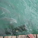 Roby Key Photo 7