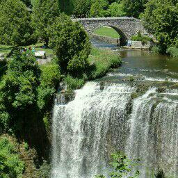 Sandra Buckley Photo 10