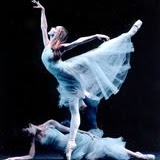 Kelly O'Donnell Photo 8