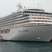Crystal Guest Photo 17