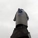 James Rowen Photo 14