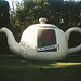 Bruce Welsh Photo 35