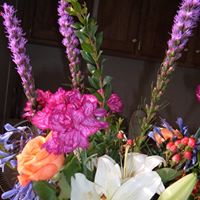 Julia Mitchell Photo 39