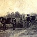 Mary Seales Photo 12