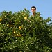 Jason Lemons Photo 29