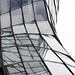 Frank Guida Photo 12