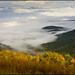 Virginia Fisher Photo 9