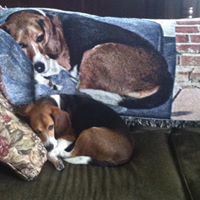 Patricia Doty Photo 18