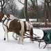 Paul Cutter Photo 9