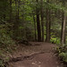 Jennifer Ricketts Photo 33