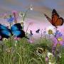 Robyn Meyers Photo 20