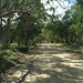 Frances Robertson Photo 25