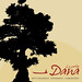 Dana Morin Photo 16