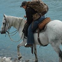 Vicki Hemley Photo 1