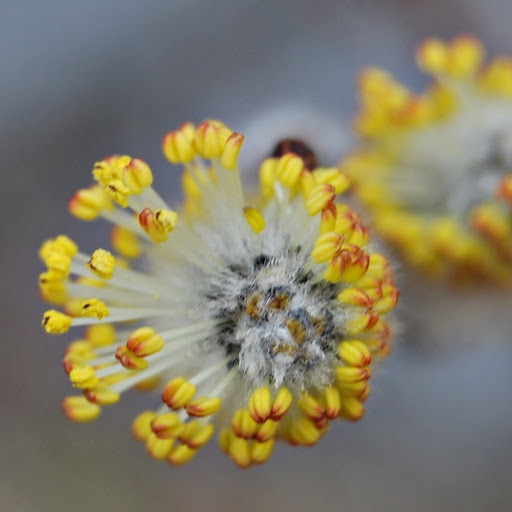 Judy Reynolds Photo 29