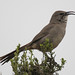 Barbara Thrasher Photo 17
